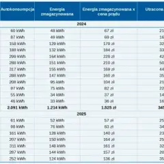 Jaki magazyn energii do pompy ciepła wybrać, aby zaoszczędzić?