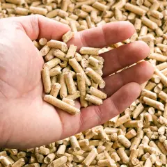 Jaki pellet na Lina? Wybierz najlepszy i uniknij problemów z piecem!