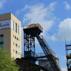 Jak kupić ekogroszek Tauron - najlepsze opcje i porady na zakupy