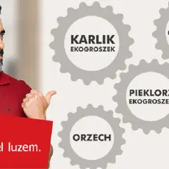 Jak kupić ekogroszek z PGG - uniknij problemów i zyskaj oszczędności
