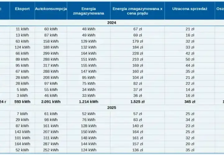 Jaki magazyn energii do pompy ciepła wybrać, aby zaoszczędzić?