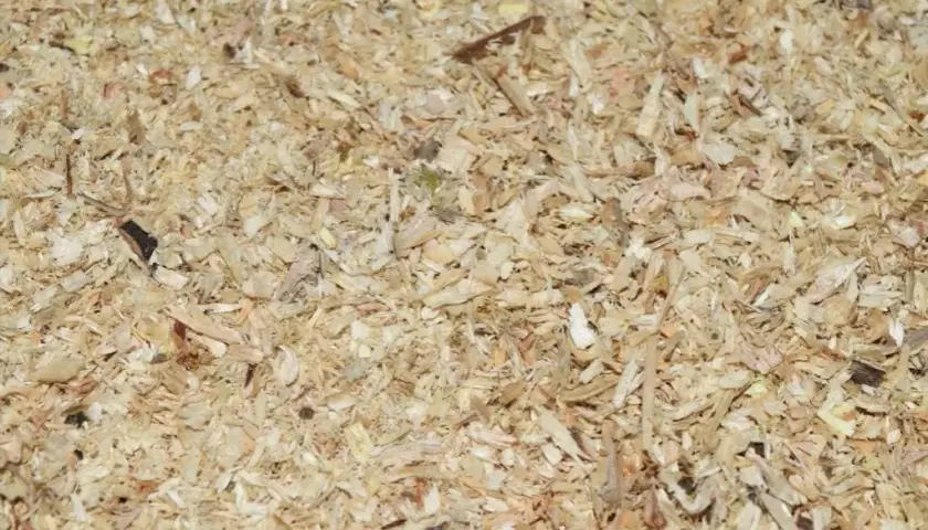 Ile trocin potrzeba na tonę pelletu? Obliczenia i optymalizacja produkcji
